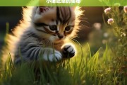 小猫吃草的奥秘，小猫吃草的奥秘探究