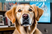 狗耳朵竖立的原因，揭秘犬类耳朵竖立的奥秘