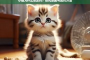 小猫发抖的原因及有效应对策略解析