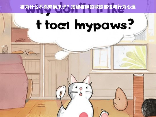 猫为什么不喜欢摸爪子？揭秘猫咪的敏感部位与行为心理