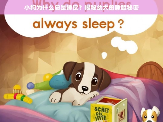 小狗为什么总是睡觉？揭秘幼犬的睡眠秘密