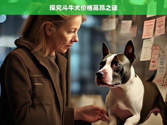 探究斗牛犬价格高昂之谜