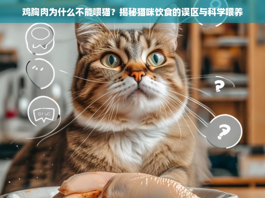 鸡胸肉为什么不能喂猫？揭秘猫咪饮食的误区与科学喂养