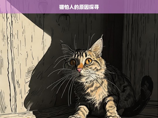 猫怕人的原因探寻