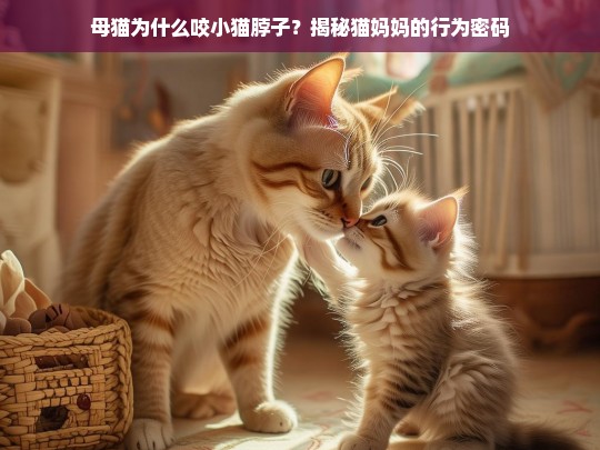 母猫为什么咬小猫脖子？揭秘猫妈妈的行为密码