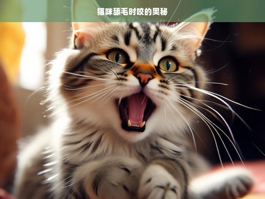 猫咪舔毛时咬的奥秘