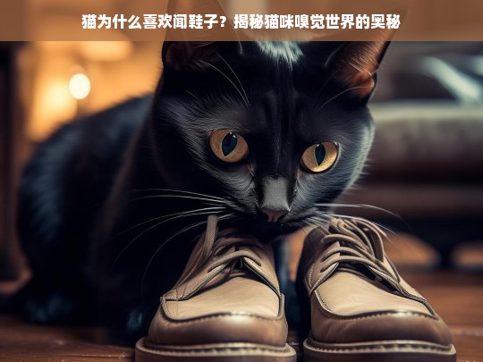 猫为什么喜欢闻鞋子？揭秘猫咪嗅觉世界的奥秘