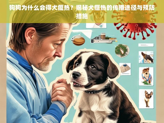 狗狗为什么会得犬瘟热？揭秘犬瘟热的传播途径与预防措施