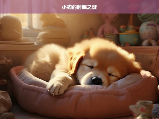 小狗的睡眠之谜