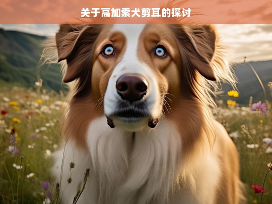 关于高加索犬剪耳的探讨