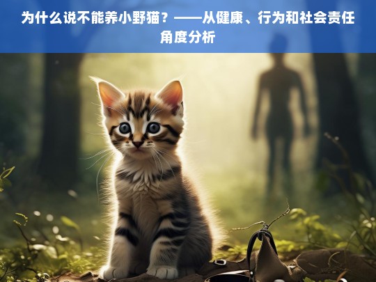 为什么说不能养小野猫？——从健康、行为和社会责任角度分析