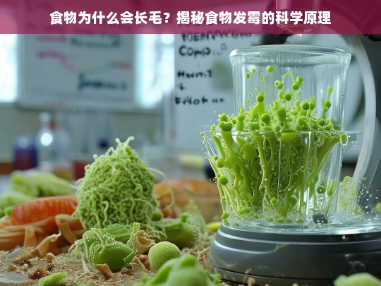 食物为什么会长毛？揭秘食物发霉的科学原理