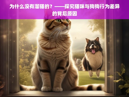 为什么没有溜猫的？——探究猫咪与狗狗行为差异的背后原因