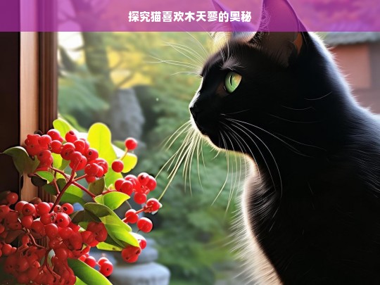 探究猫喜欢木天蓼的奥秘