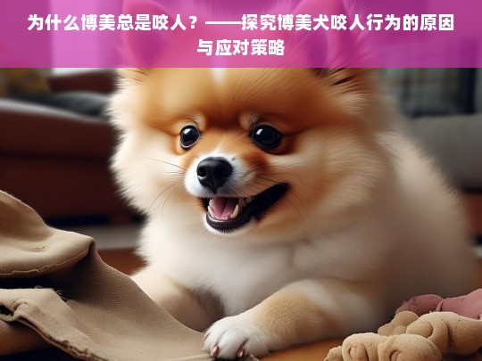 为什么博美总是咬人？——探究博美犬咬人行为的原因与应对策略