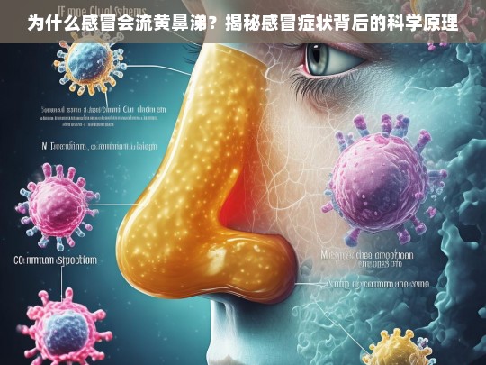 为什么感冒会流黄鼻涕？揭秘感冒症状背后的科学原理