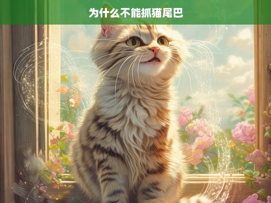 为什么不能抓猫尾巴