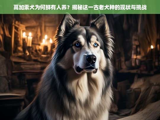 高加索犬为何鲜有人养？揭秘这一古老犬种的现状与挑战