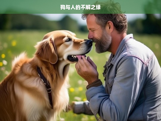 狗与人的不解之缘