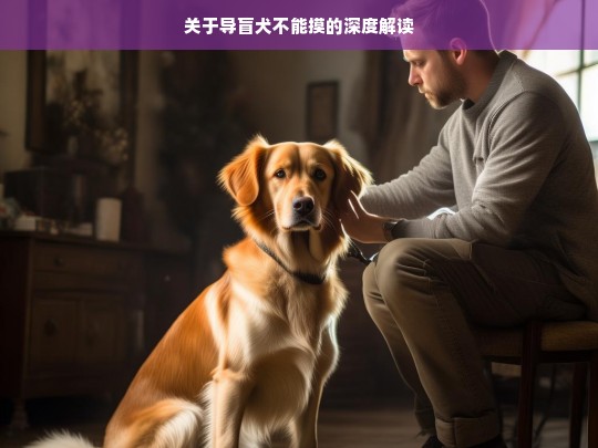 关于导盲犬不能摸的深度解读