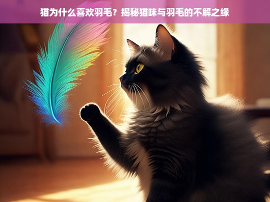 猫为什么喜欢羽毛？揭秘猫咪与羽毛的不解之缘