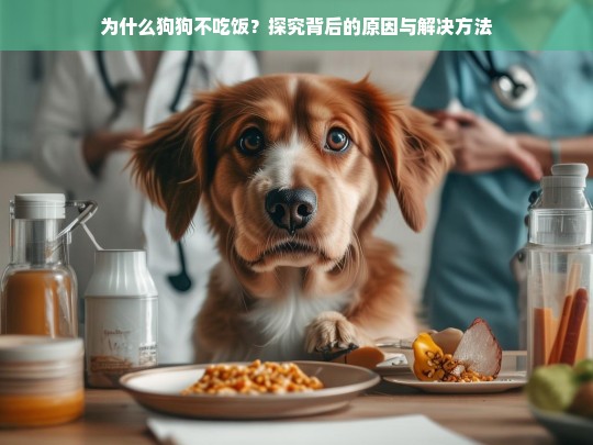 为什么狗狗不吃饭？探究背后的原因与解决方法