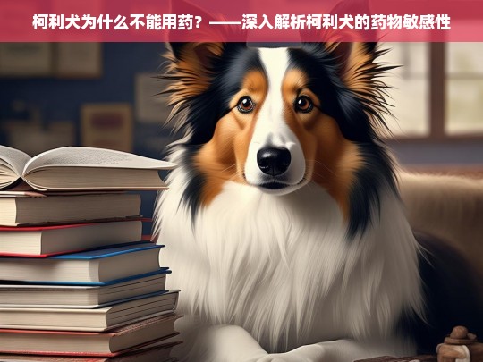 柯利犬为什么不能用药？——深入解析柯利犬的药物敏感性