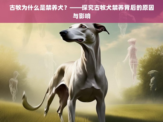 古牧为什么是禁养犬？——探究古牧犬禁养背后的原因与影响