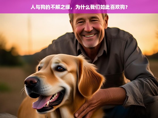 人与狗的不解之缘，为什么我们如此喜欢狗？