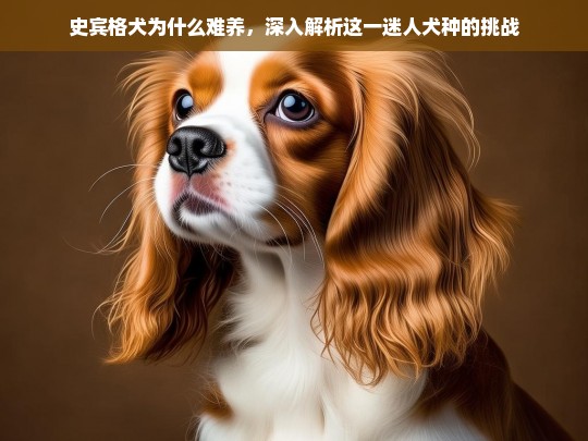 史宾格犬为什么难养，深入解析这一迷人犬种的挑战