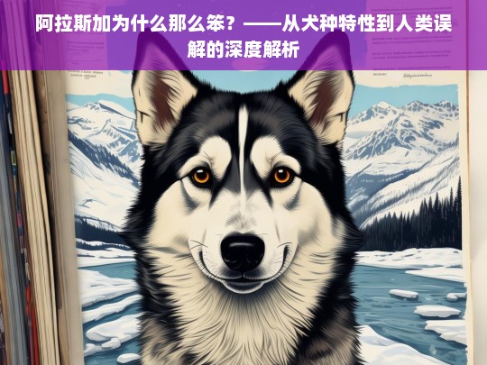 阿拉斯加为什么那么笨？——从犬种特性到人类误解的深度解析