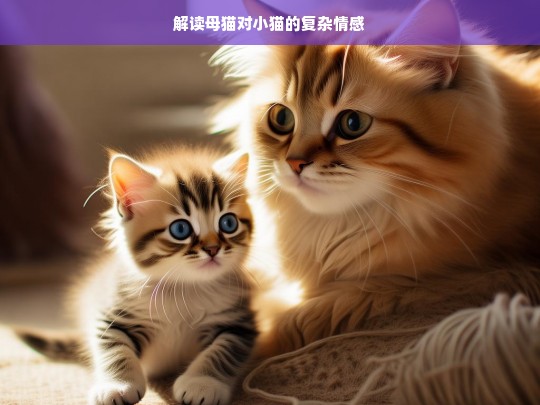 解读母猫对小猫的复杂情感