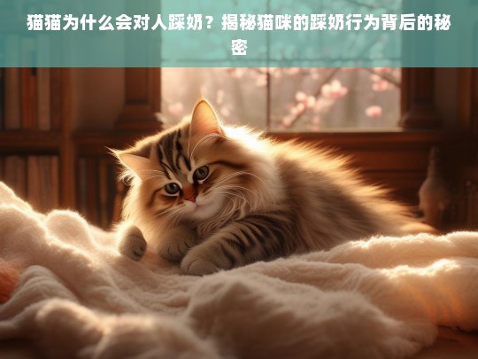 猫猫为什么会对人踩奶？揭秘猫咪的踩奶行为背后的秘密