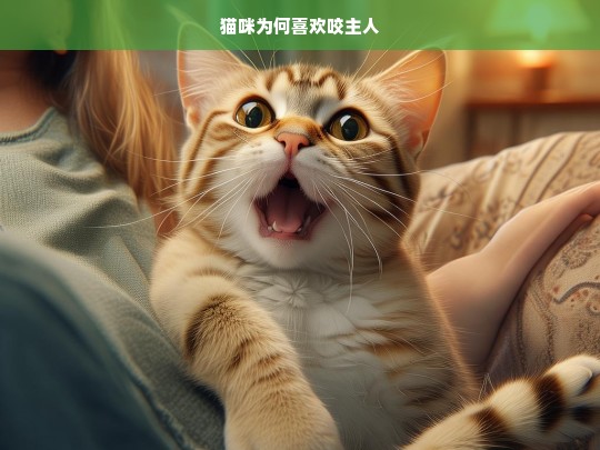 猫咪为何喜欢咬主人