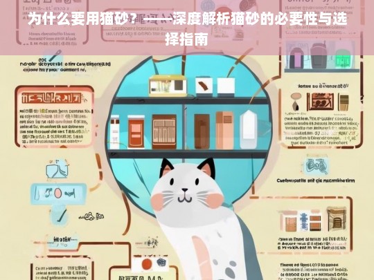 为什么要用猫砂？——深度解析猫砂的必要性与选择指南