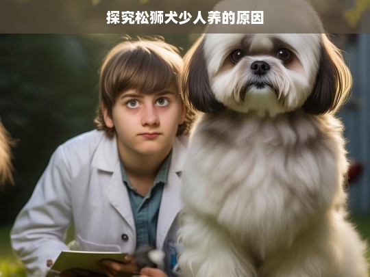 探究松狮犬少人养的原因