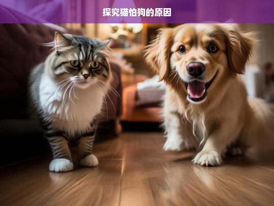 探究猫怕狗的原因