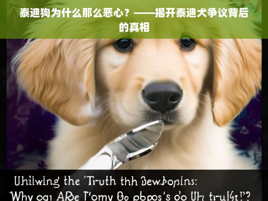 泰迪狗为什么那么恶心？——揭开泰迪犬争议背后的真相