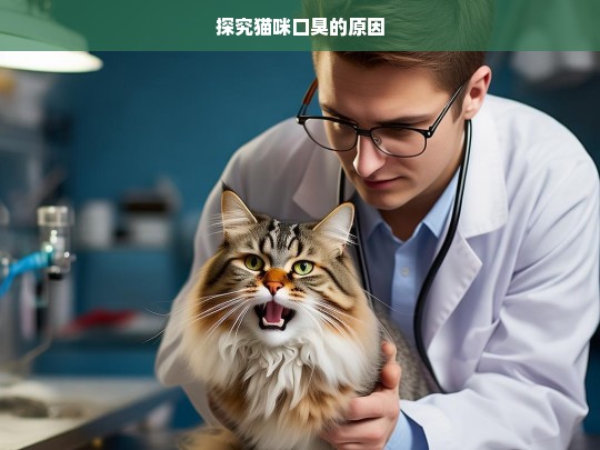 探究猫咪口臭的原因