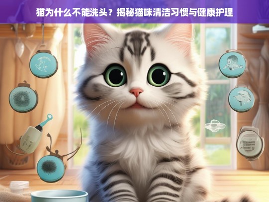 猫为什么不能洗头？揭秘猫咪清洁习惯与健康护理