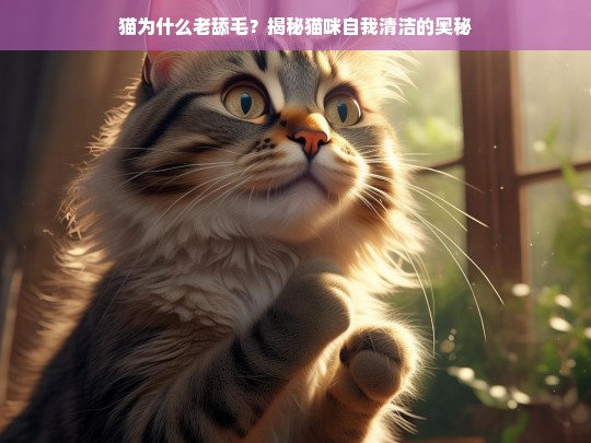 猫为什么老舔毛？揭秘猫咪自我清洁的奥秘