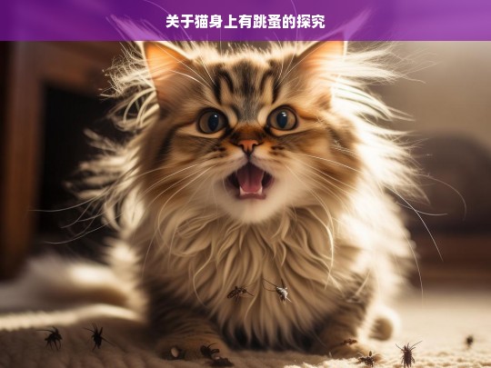 关于猫身上有跳蚤的探究