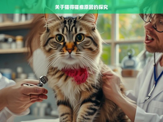 关于猫得猫癣原因的探究