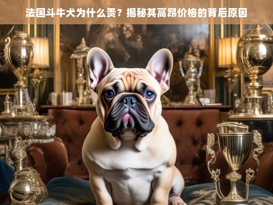 法国斗牛犬为什么贵？揭秘其高昂价格的背后原因