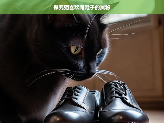 探究猫喜欢闻鞋子的奥秘