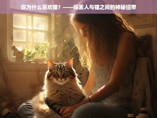 你为什么喜欢猫？——探索人与猫之间的神秘纽带