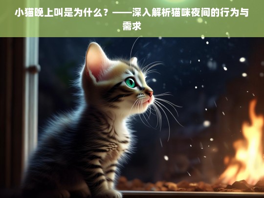 小猫晚上叫是为什么？——深入解析猫咪夜间的行为与需求