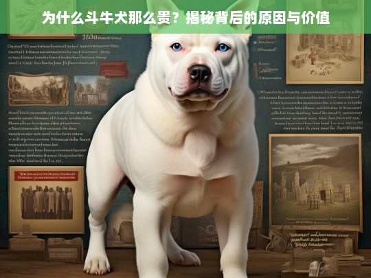 为什么斗牛犬那么贵？揭秘背后的原因与价值