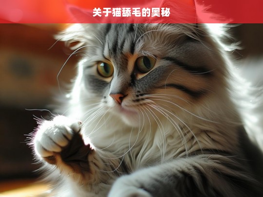 关于猫舔毛的奥秘