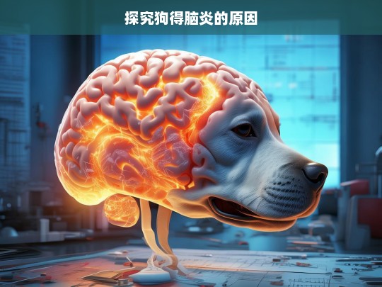 探究狗得脑炎的原因